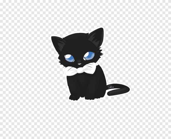 Котик арт на белом фоне