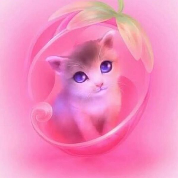 Милые розовые кошечки