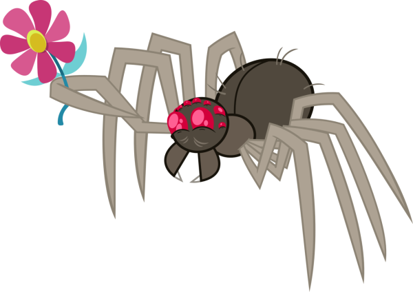 Милый паук рисунок