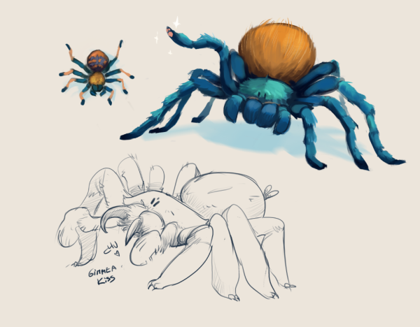 Рисунки милых паучков