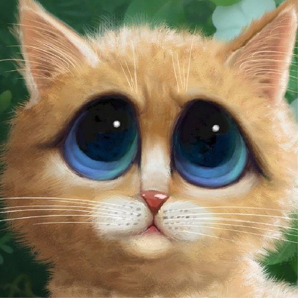 Катики сболшими глазками