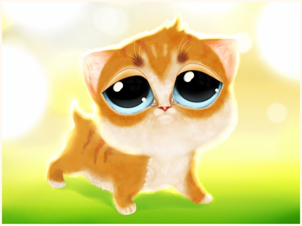 Кот с голубыми глазами арт