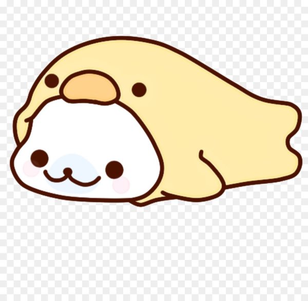 Кавайные морские котики