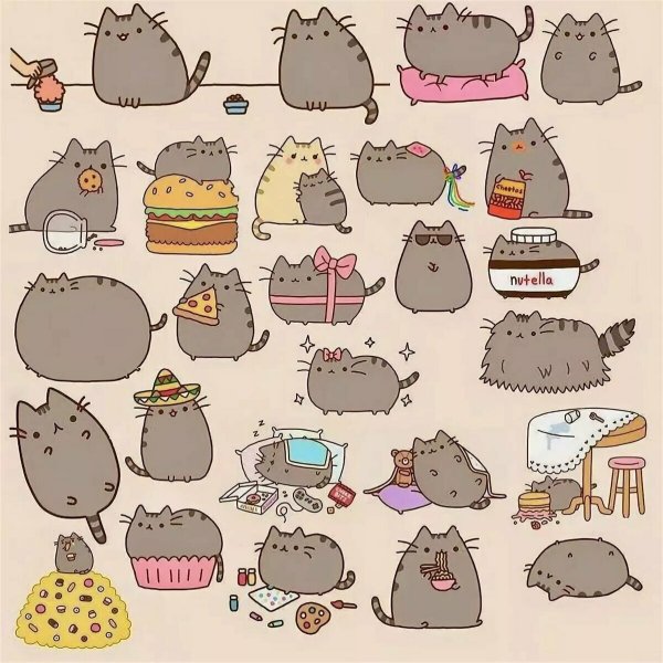 Котик Пушин Кэт