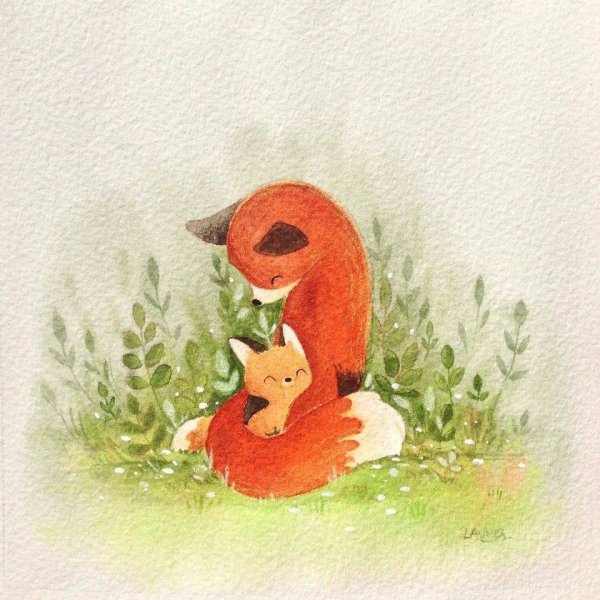Лиса милые иллюстрации