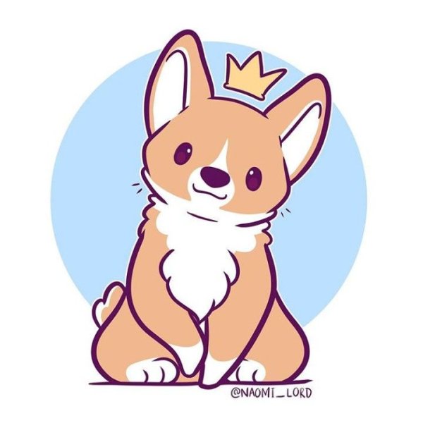 Наоми Лорд собаки