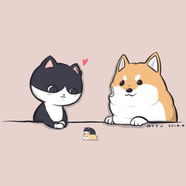 Шиба ину Chibi