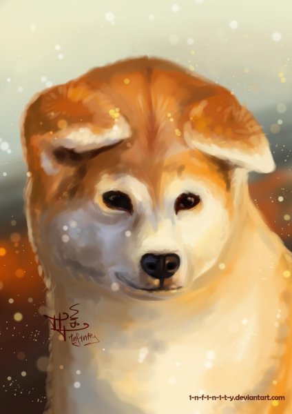 Акита ину арт