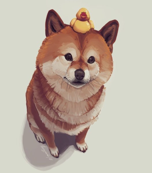 Собака сиба ину арт