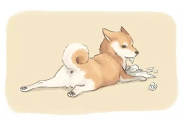 Сиба ину аниме