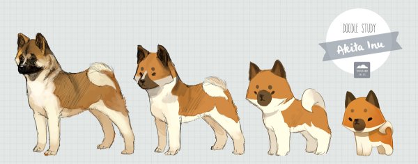 Акита аниме собака