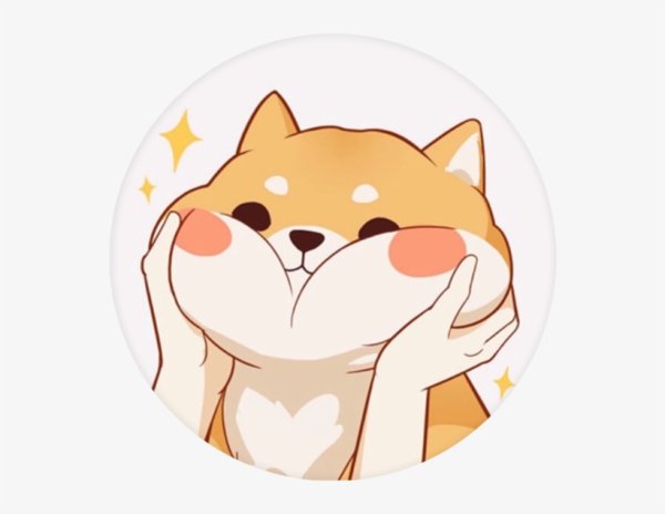 Shiba Inu kawaii
