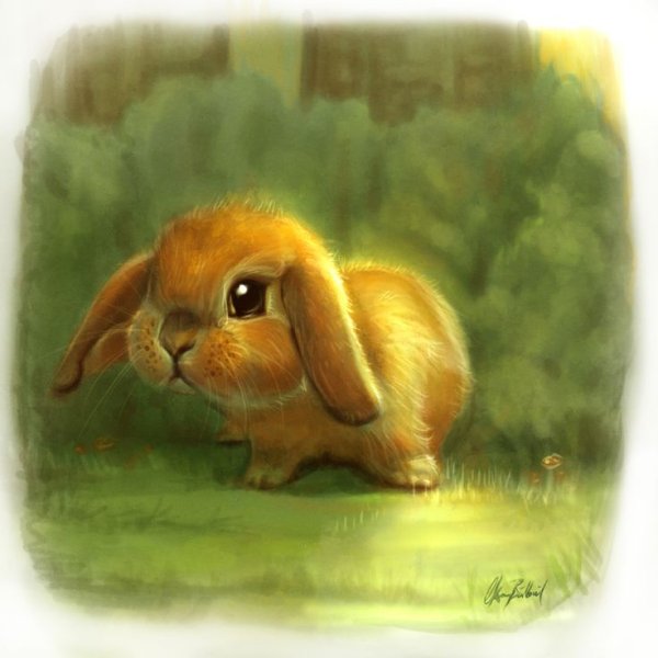 Зайчик рисунок