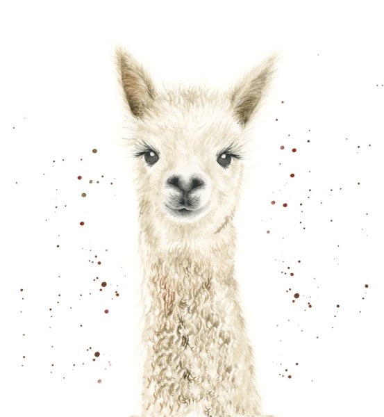 Ламы альпаки акварель