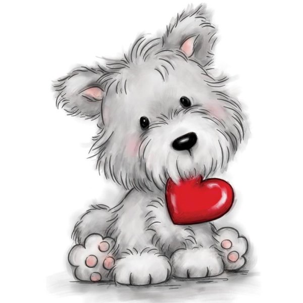 Померанский шпиц