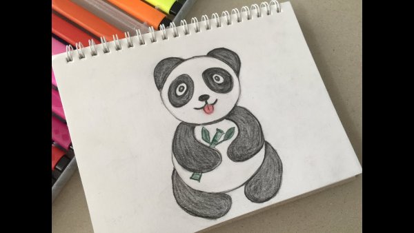 Панда для скетчбука