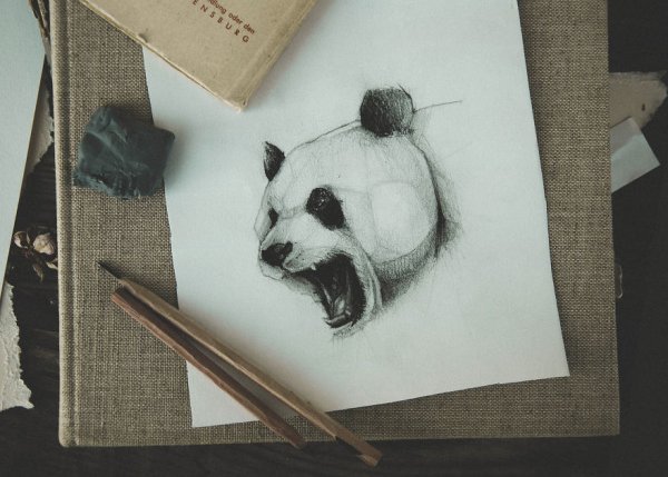 Рисунки для скетчбукаживотные