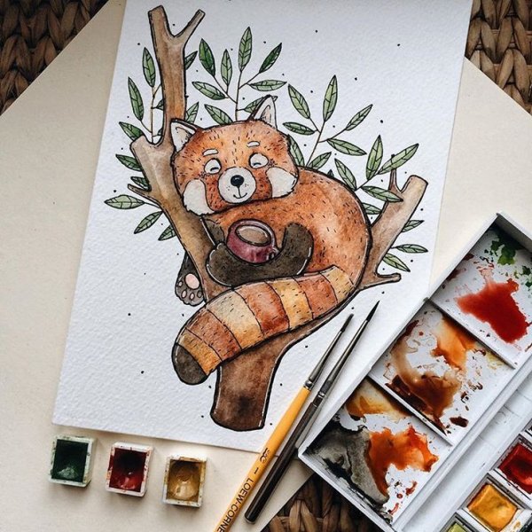 Панда рисунок карандашом