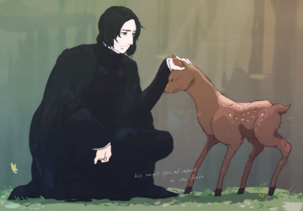 Северус Снейп и Гарри Поттер аниме