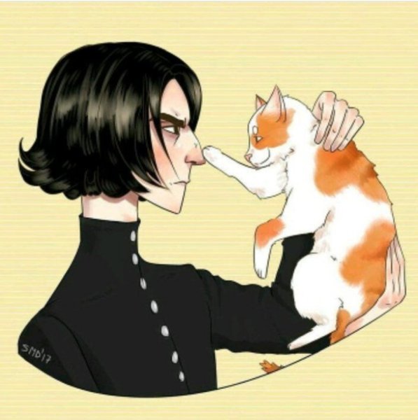 Гарри Поттер кот Снейп