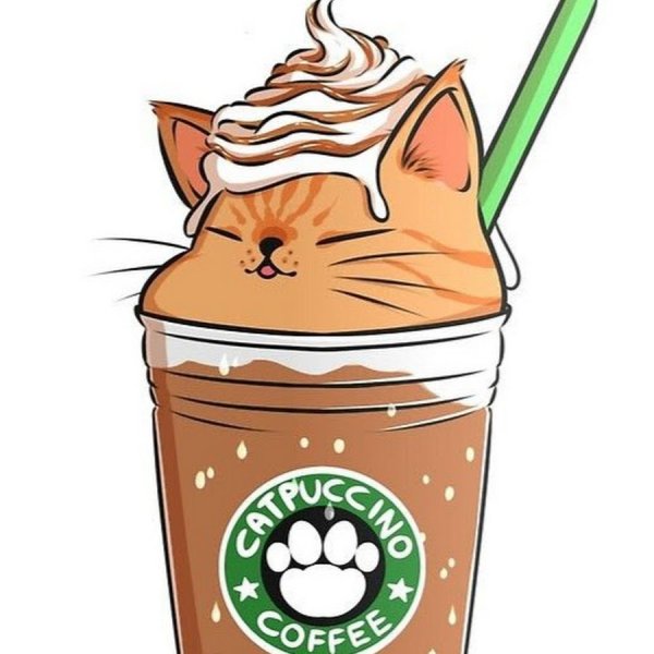 Кот с кофе арт