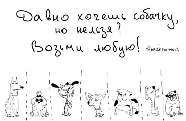 Веселые объявления для настроения