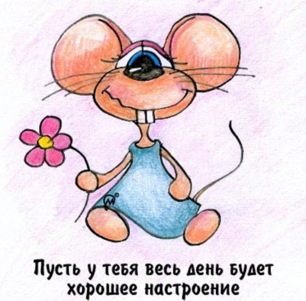 Смешные открытки для поднятия настроения