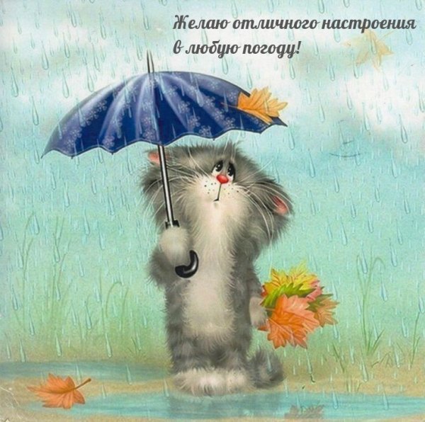 Животные под зонтиком