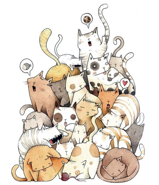 Стикер "котик"