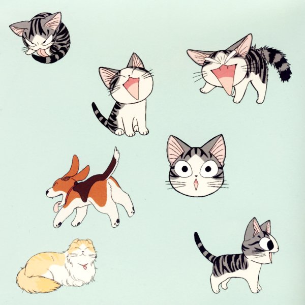 Много котов