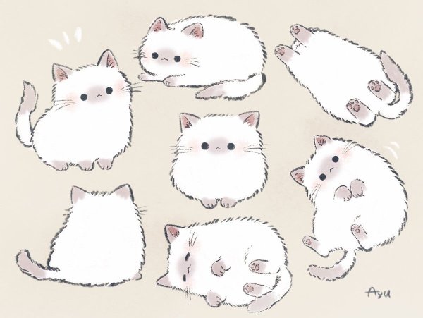 Много котов аниме