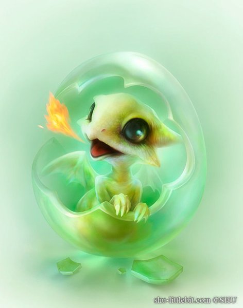 Shu Mizoguchi животные