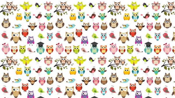 Раскраски с наклейками