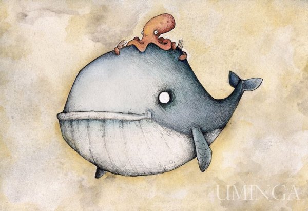 Веселый кит