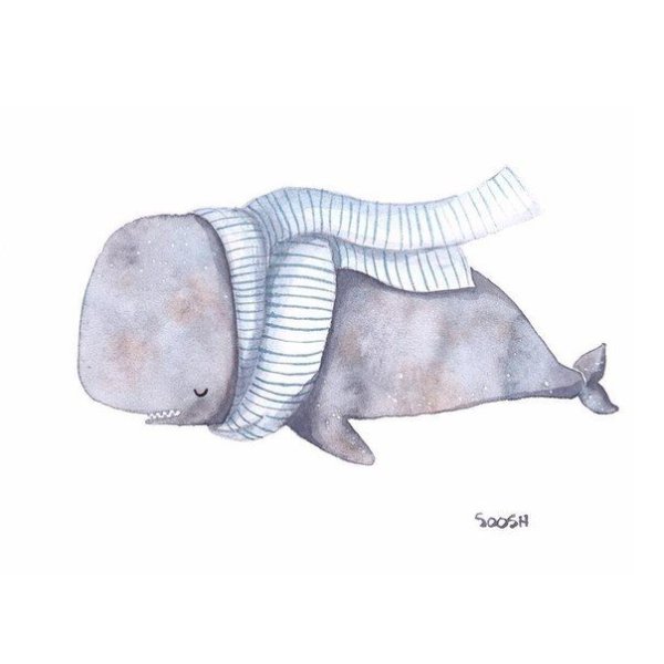 Милые иллюстрации кит