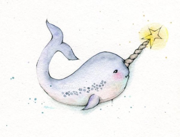 Нарвал милый