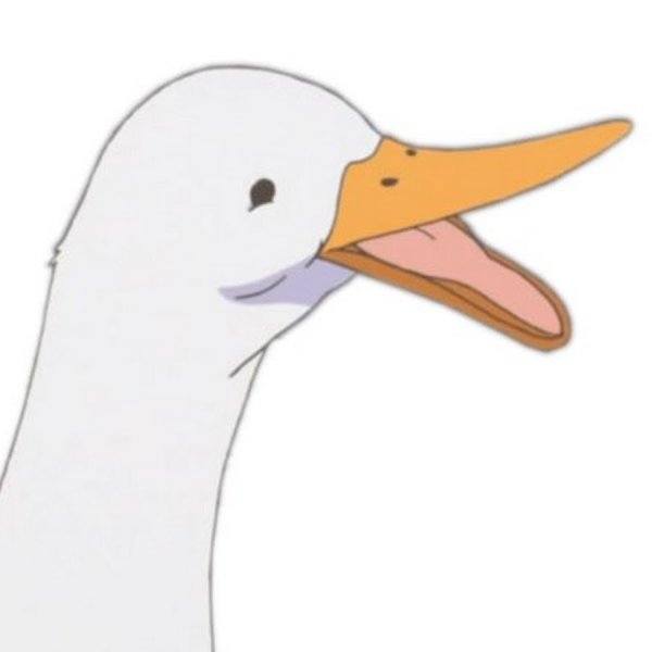 Голова гуся на белом фоне