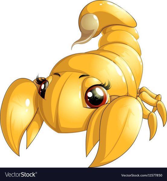 Милый Скорпион