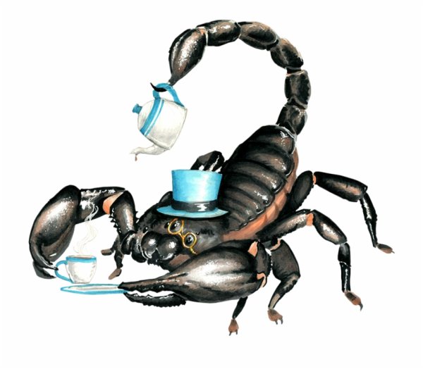 Скорпион весёлый