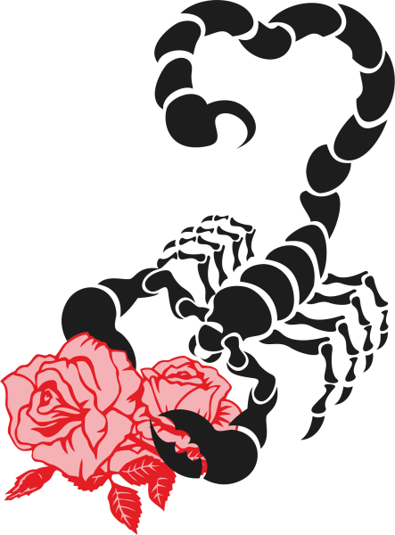 Скорпион рисунок цветной