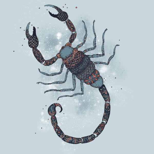 Скорпион арт