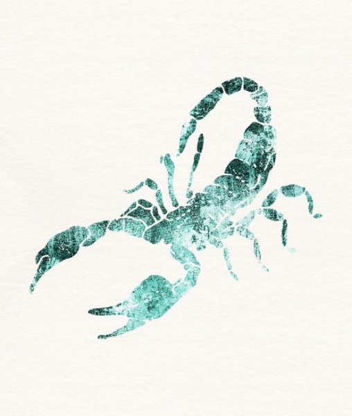 Скорпион арт