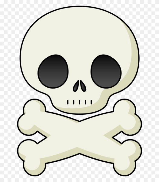 Черепок с костями