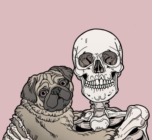 Милый скелет