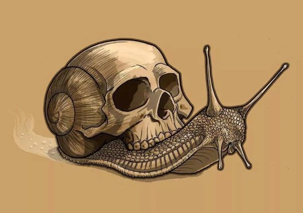 Прикольные черепа