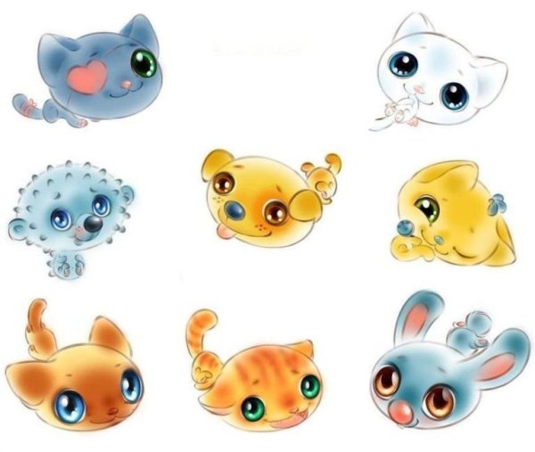 Кролик и цыпленок