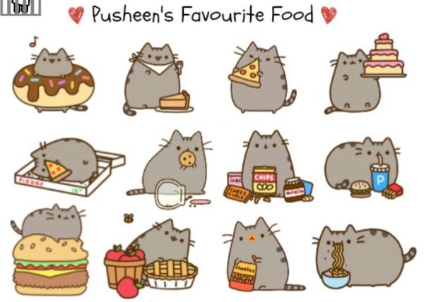 Кот Пушин с едой