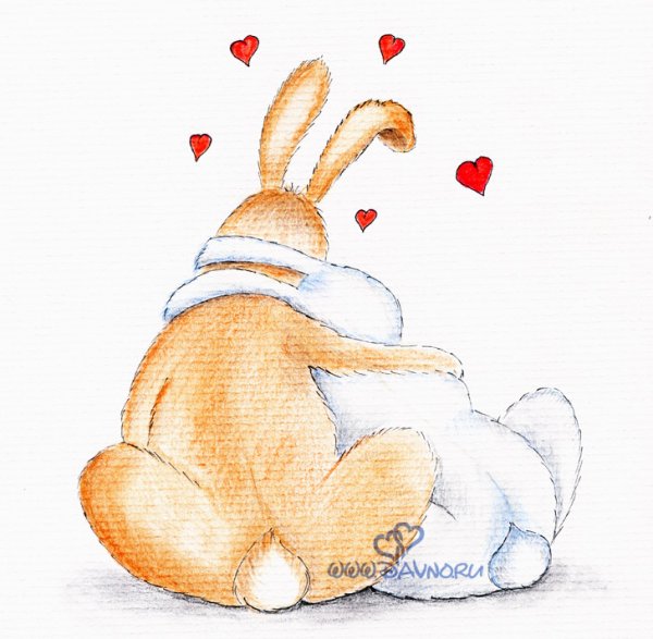 Любимый зайчик