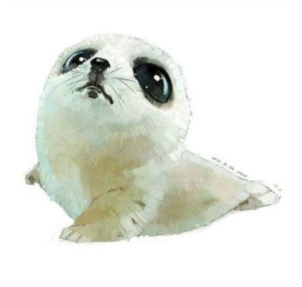 Мультяшные тюлени