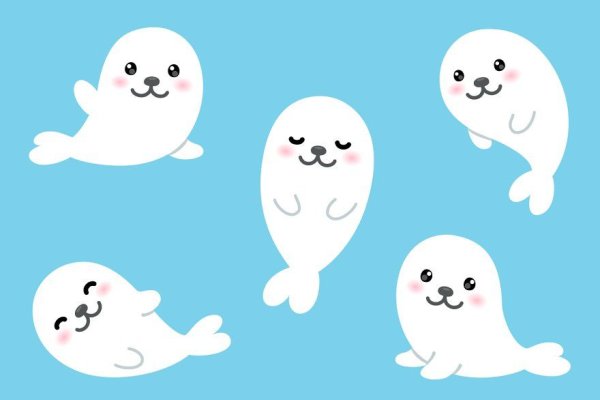 Милый тюлень рисунок